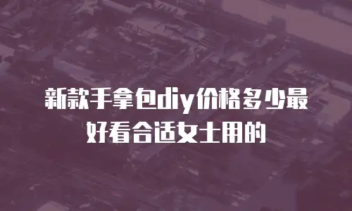 新款手拿包diy价格多少最好看合适女士用的