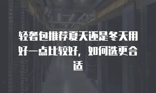 轻奢包推荐夏天还是冬天用好一点比较好，如何选更合适