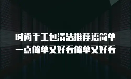 时尚手工包清洁推荐语简单一点简单又好看简单又好看