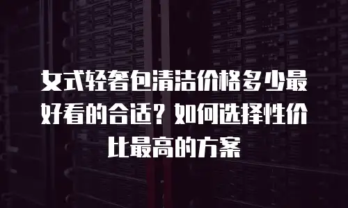 女式轻奢包清洁价格多少最好看的合适？如何选择性价比最高的方案