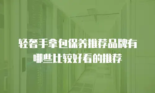 轻奢手拿包保养推荐品牌有哪些比较好看的推荐