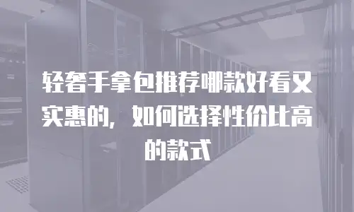 轻奢手拿包推荐哪款好看又实惠的，如何选择性价比高的款式