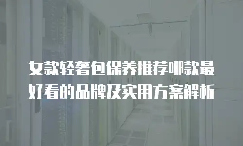 女款轻奢包保养推荐哪款最好看的品牌及实用方案解析