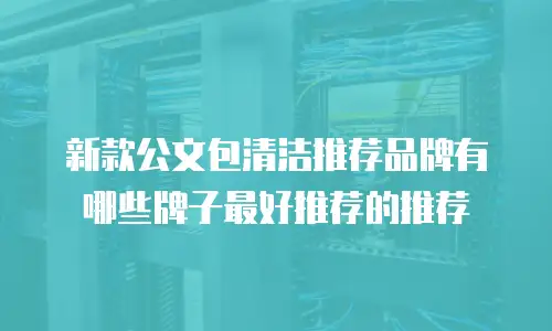新款公文包清洁推荐品牌有哪些牌子最好推荐的推荐