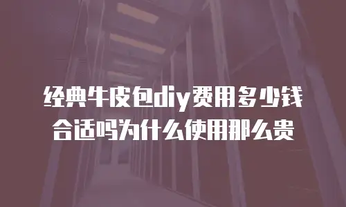 经典牛皮包diy费用多少钱合适吗为什么使用那么贵