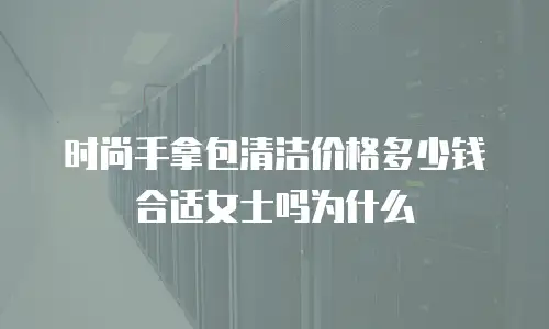 时尚手拿包清洁价格多少钱合适女士吗为什么