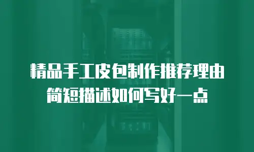 精品手工皮包制作推荐理由简短描述如何写好一点