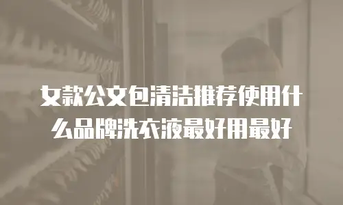 女款公文包清洁推荐使用什么品牌洗衣液最好用最好