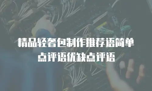 精品轻奢包制作推荐语简单点评语优缺点评语