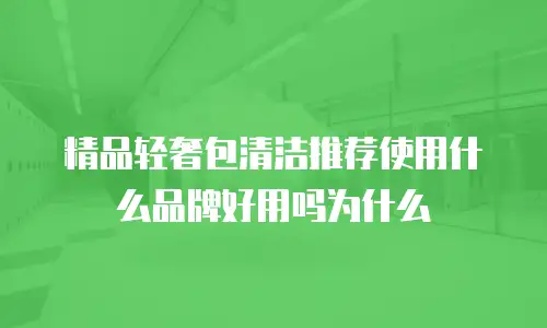 精品轻奢包清洁推荐使用什么品牌好用吗为什么