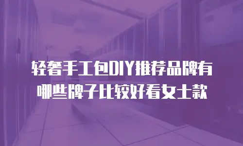 轻奢手工包DIY推荐品牌有哪些牌子比较好看女士款