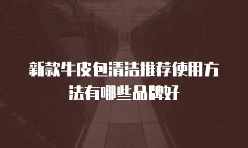 新款牛皮包清洁推荐使用方法有哪些品牌好