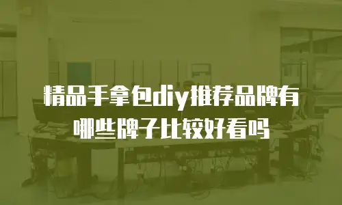 精品手拿包diy推荐品牌有哪些牌子比较好看吗