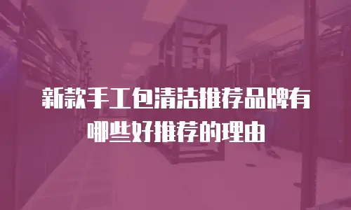 新款手工包清洁推荐品牌有哪些好推荐的理由