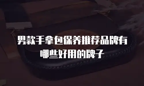 男款手拿包保养推荐品牌有哪些好用的牌子
