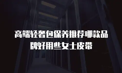 高端轻奢包保养推荐哪款品牌好用些女士皮带