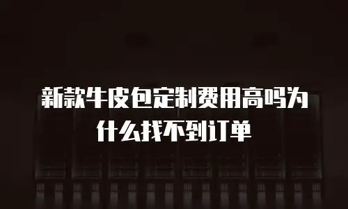 新款牛皮包定制费用高吗为什么找不到订单