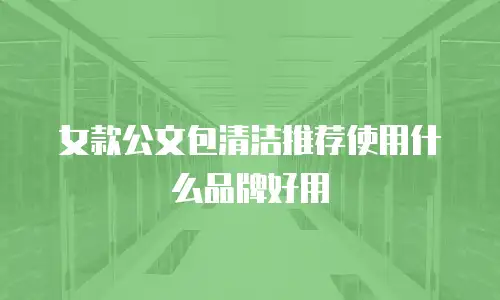 女款公文包清洁推荐使用什么品牌好用