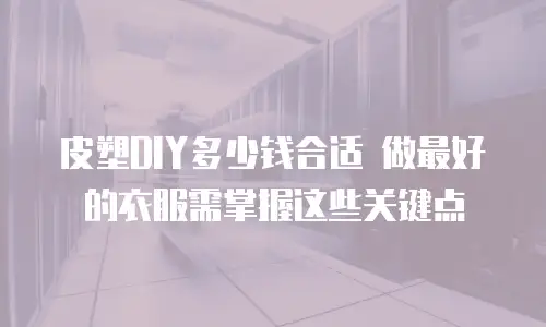 皮塑DIY多少钱合适 做最好的衣服需掌握这些关键点