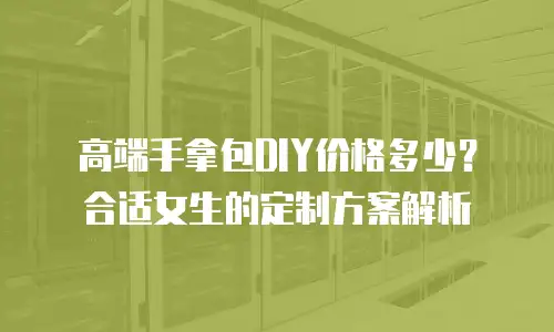 高端手拿包DIY价格多少？合适女生的定制方案解析