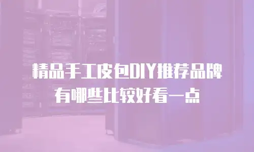 精品手工皮包DIY推荐品牌有哪些比较好看一点