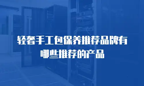 轻奢手工包保养推荐品牌有哪些推荐的产品