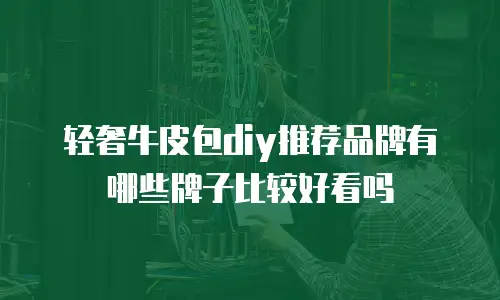 轻奢牛皮包diy推荐品牌有哪些牌子比较好看吗