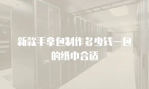 新款手拿包制作多少钱一包的纸巾合适