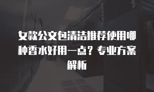 女款公文包清洁推荐使用哪种香水好用一点？专业方案解析