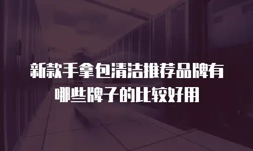新款手拿包清洁推荐品牌有哪些牌子的比较好用