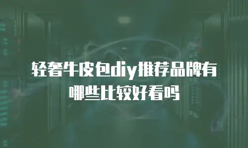 轻奢牛皮包diy推荐品牌有哪些比较好看吗