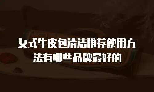 女式牛皮包清洁推荐使用方法有哪些品牌最好的