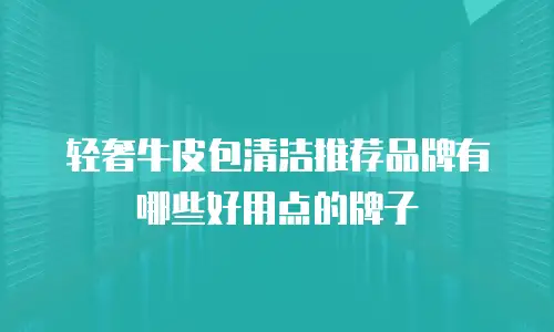 轻奢牛皮包清洁推荐品牌有哪些好用点的牌子