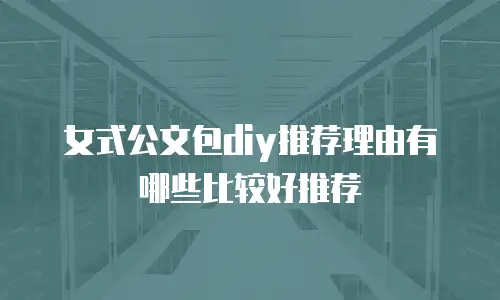 女式公文包diy推荐理由有哪些比较好推荐