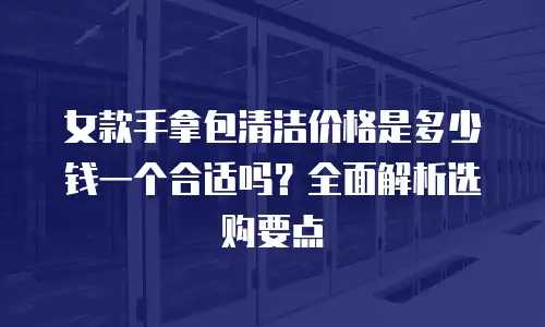 女款手拿包清洁价格是多少钱一个合适吗？全面解析选购要点