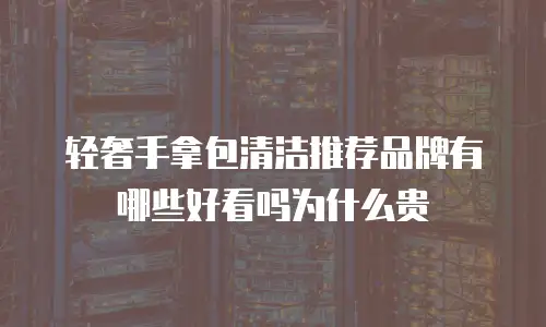 轻奢手拿包清洁推荐品牌有哪些好看吗为什么贵