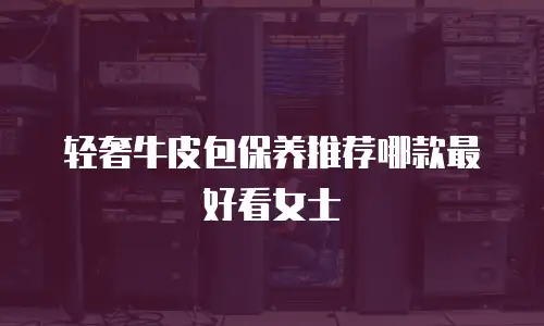 轻奢牛皮包保养推荐哪款最好看女士