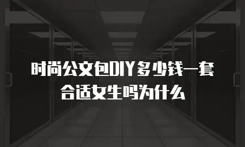 时尚公文包DIY多少钱一套合适女生吗为什么