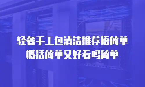 轻奢手工包清洁推荐语简单概括简单又好看吗简单