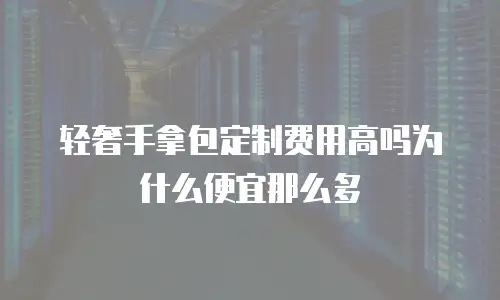 轻奢手拿包定制费用高吗为什么便宜那么多