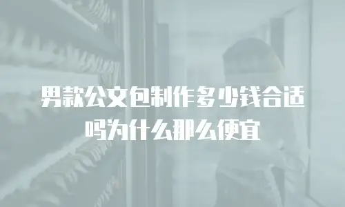 男款公文包制作多少钱合适吗为什么那么便宜