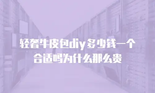 轻奢牛皮包diy多少钱一个合适吗为什么那么贵