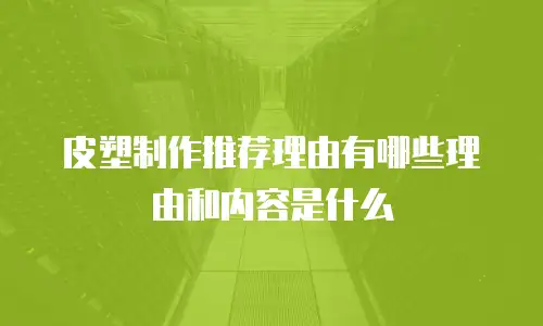 皮塑制作推荐理由有哪些理由和内容是什么