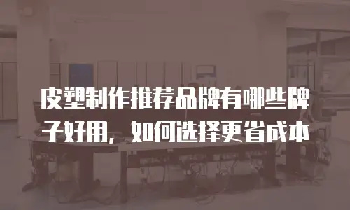 皮塑制作推荐品牌有哪些牌子好用，如何选择更省成本
