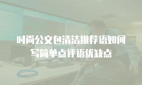 时尚公文包清洁推荐语如何写简单点评语优缺点