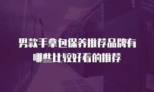 男款手拿包保养推荐品牌有哪些比较好看的推荐