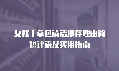 女款手拿包清洁推荐理由简短评语及实用指南