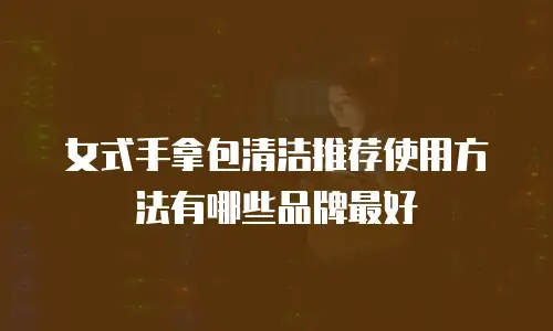 女式手拿包清洁推荐使用方法有哪些品牌最好