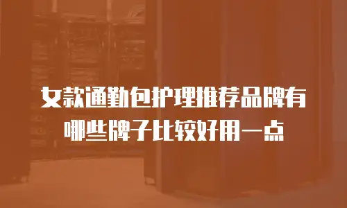 女款通勤包护理推荐品牌有哪些牌子比较好用一点