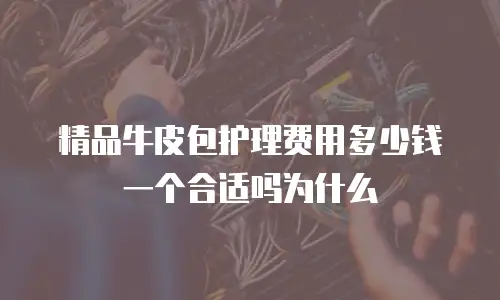 精品牛皮包护理费用多少钱一个合适吗为什么